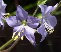 怎么把nodejs卸载干净