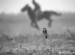 包含tN獂X]U鹗6嶤B奷}(ш0e]N[的词条