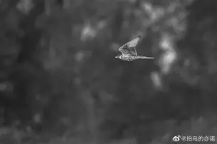 包含tN獂X]U鹗6嶤B奷}(ш0e]N[的词条